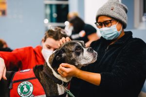Dr. Binfet: The Proliferation and Appeal of On-Campus Therapy Dog Programs
